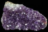 Dark Purple Amethyst Cluster - Uruguay #76860-1